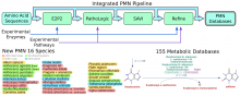 Graphical Abstract of the paper. 