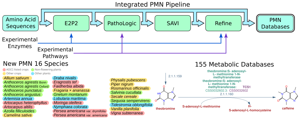PMN 16 in Focus: New Publication Available Now