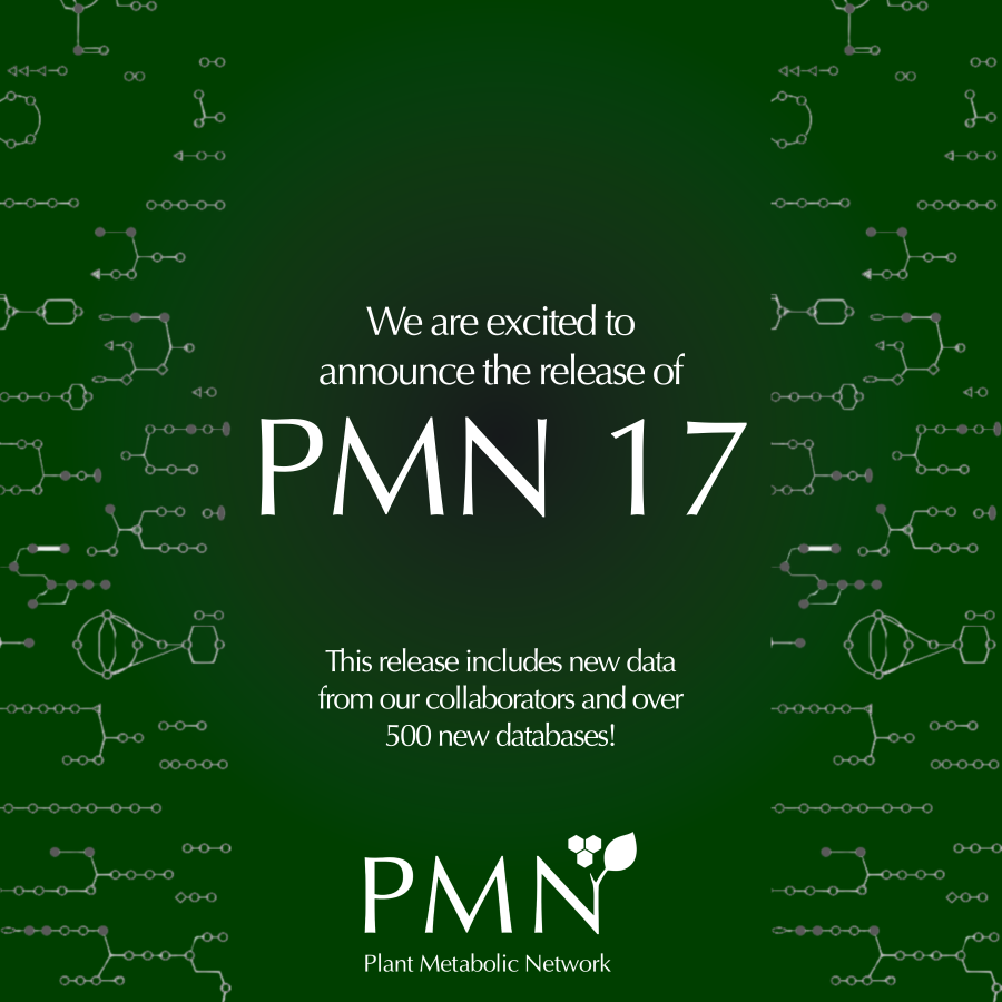 PMN 17 Released